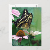 Giant Swallowtail Butterfly op Flowers Briefkaart (Voorkant / Achterkant)