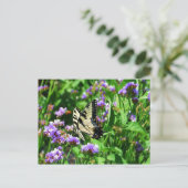 Giant Swallowtail Butterfly op Paarse Statice Briefkaart (Staand voorkant)