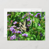 Giant Swallowtail Butterfly op Paarse Statice Briefkaart (Voorkant / Achterkant)