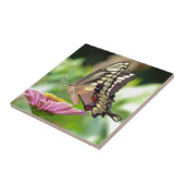 Giant Swallowtail Butterfly Tegeltje (Zijkant)