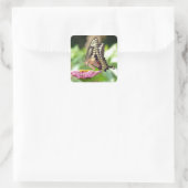 Giant Swallowtail Butterfly Vierkante Sticker (Tas)