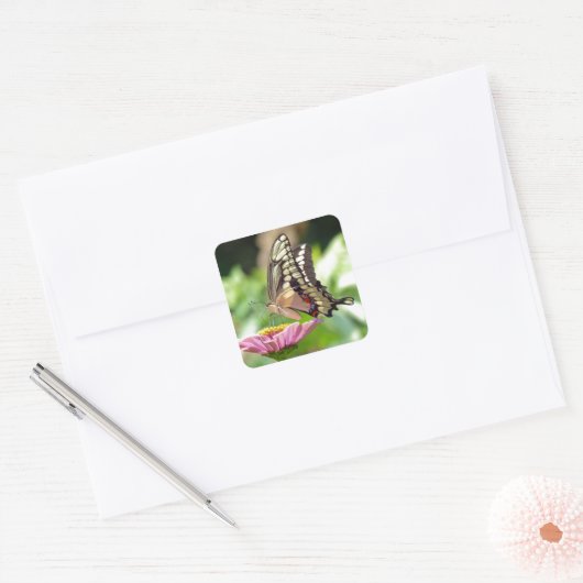 Giant Swallowtail Butterfly Vierkante Sticker (Envelop)