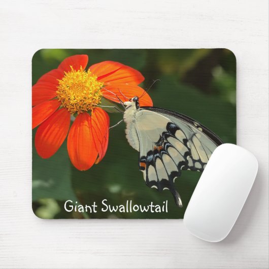 Giant Swallowtail mousepad Muismat (Met muis)