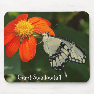Giant Swallowtail mousepad Muismat