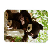 Giant Teddy Bear Relaxing in Paradise Magneet (Horizontaal)