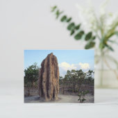 Giant termite mound, Northern Territory, Australië Briefkaart (Staand voorkant)