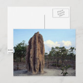 Giant termite mound, Northern Territory, Australië Briefkaart (Voorkant / Achterkant)