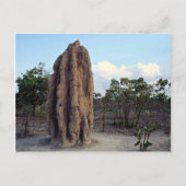 Giant termite mound, Northern Territory, Australië Briefkaart (Voorkant)