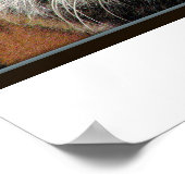 Giant Tiger Print (Hoek)