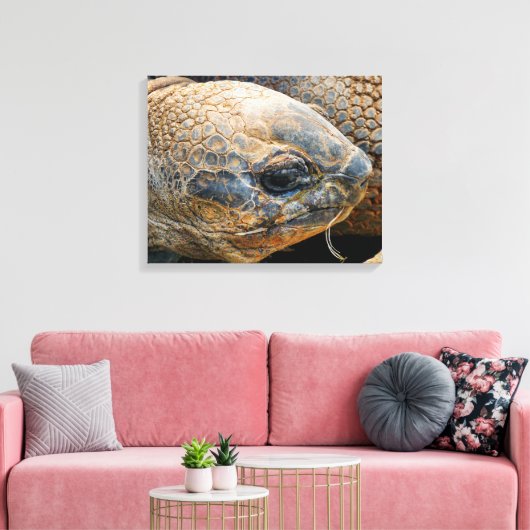GIANT TORTOISE CANVAS AFDRUK (Insitu (Woonkamer))