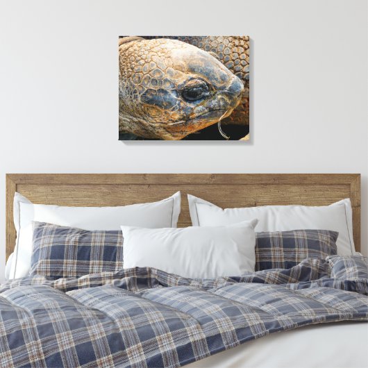 GIANT TORTOISE CANVAS AFDRUK (Insitu (Slaapkamer))