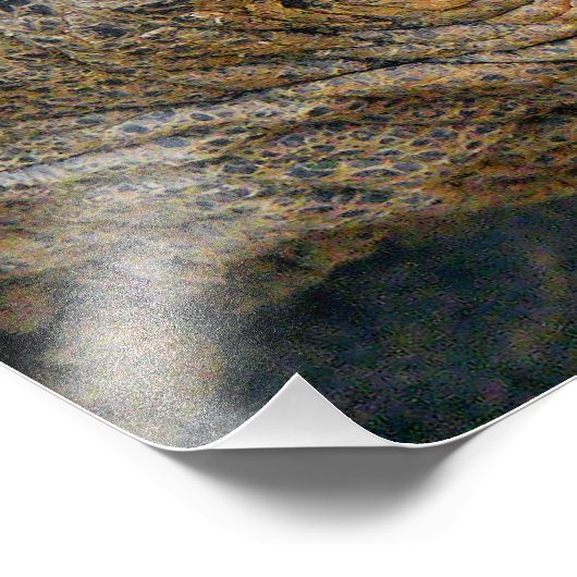 GIANT TORTOISE FOTO AFDRUK (Hoek)