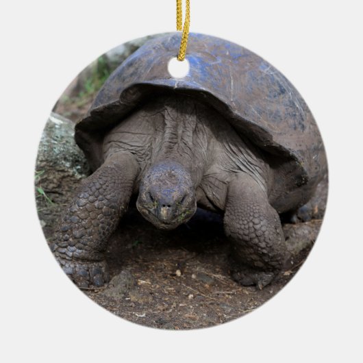 Giant tortoise Galapagos Keramisch Ornament (Voorkant)