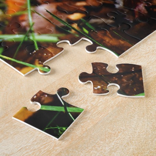 Giant Tortoise, Jigzaag Puzzle Legpuzzel (Zijkant)