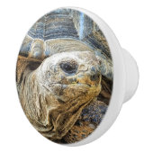 GIANT TORTOISE KERAMISCHE KNOP (Rechts)