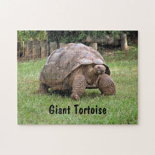Giant Tortoise Legpuzzel (Horizontaal)
