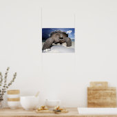 Giant Tortoise poster (Keuken)