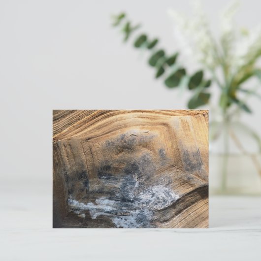 GIANT TORTOISE SHELL BRIEFKAART (Staand voorkant)