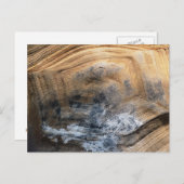 GIANT TORTOISE SHELL BRIEFKAART (Voorkant / Achterkant)