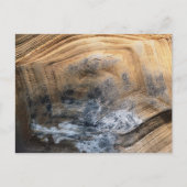 GIANT TORTOISE SHELL BRIEFKAART (Voorkant)