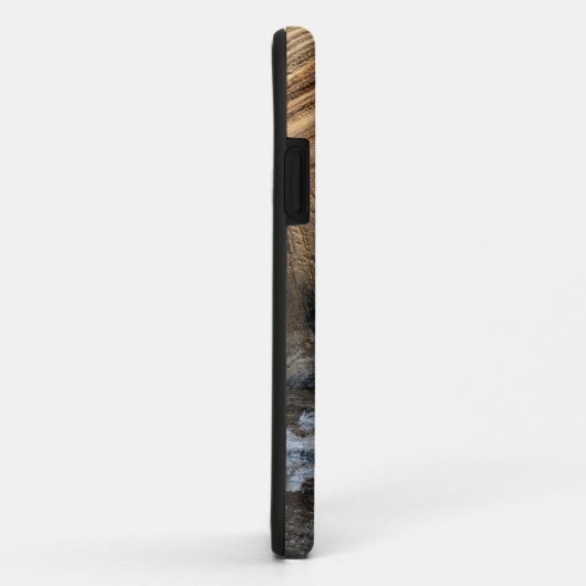 GIANT TORTOISE SHELL Case-Mate iPhone CASE (Achterkant/rechts)