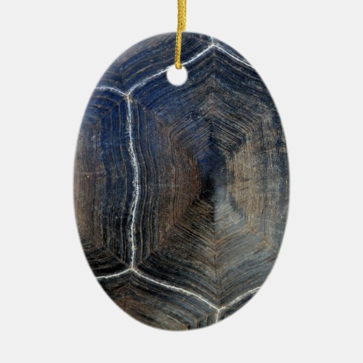 Giant tortoise shell detail Galapagos Keramisch Ornament (Voorkant)