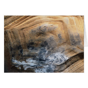 GIANT TORTOISE SHELL GREETINGS KAART