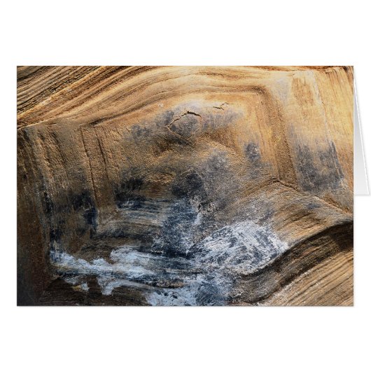 GIANT TORTOISE SHELL GREETINGS KAART (Voorkant Horizontaal)