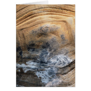 GIANT TORTOISE SHELL KAART