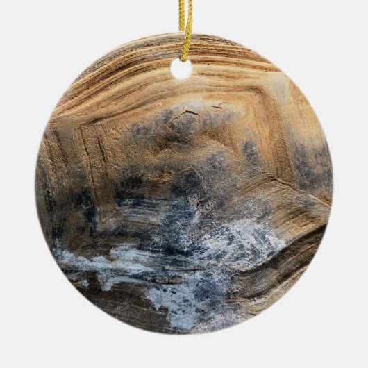 GIANT TORTOISE SHELL KERAMISCH ORNAMENT (Voorkant)