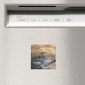 GIANT TORTOISE SHELL MAGNEET (Insitu (Vaatwasser))