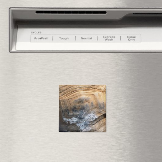 GIANT TORTOISE SHELL MAGNEET (Insitu (Vaatwasser))