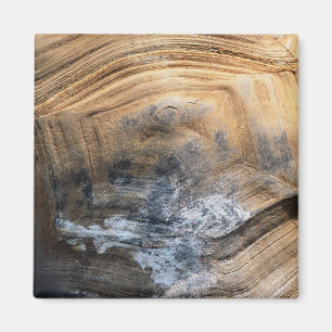 GIANT TORTOISE SHELL MAGNEET