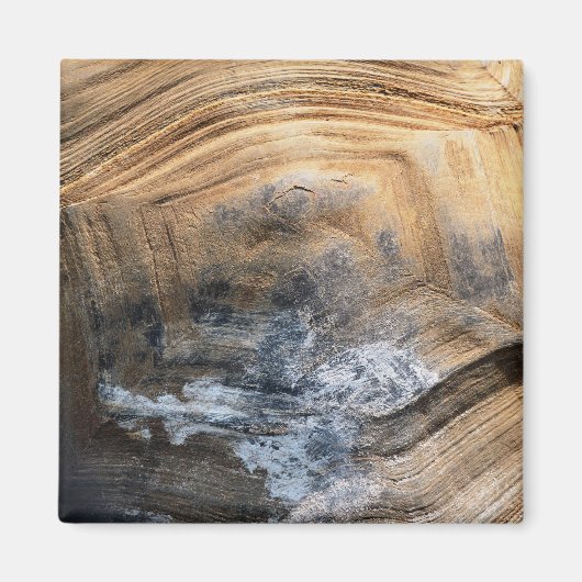 GIANT TORTOISE SHELL MAGNEET (Voorkant)