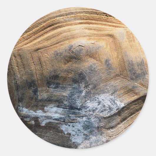 GIANT TORTOISE SHELL RONDE STICKER (Voorkant)