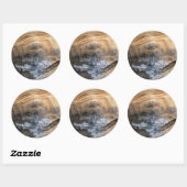 GIANT TORTOISE SHELL RONDE STICKER (Vel)