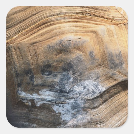 GIANT TORTOISE SHELL VIERKANTE STICKER (Voorkant)