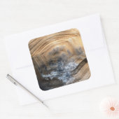 GIANT TORTOISE SHELL VIERKANTE STICKER (Envelop)