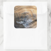 GIANT TORTOISE SHELL VIERKANTE STICKER (Tas)