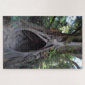 Giant Tree & Meditation Cave/Ancient Forest Legpuzzel (Horizontaal)