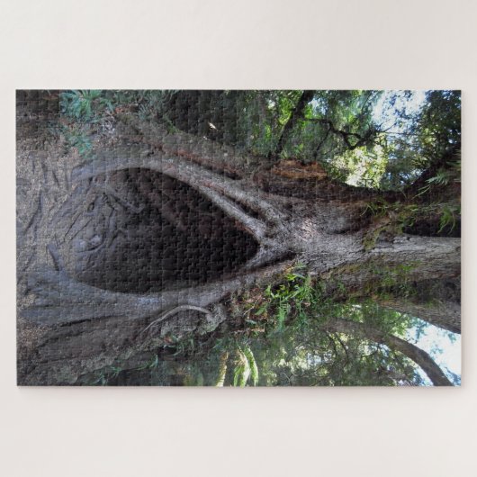 Giant Tree & Meditation Cave/Ancient Forest Legpuzzel (Horizontaal)
