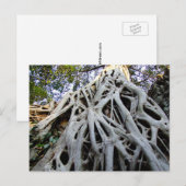 Giant Tree Roots, Temples, Ancient Cambodja Briefkaart (Voorkant / Achterkant)