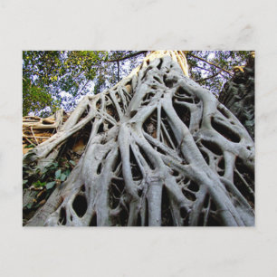 Giant Tree Roots, Temples, Ancient Cambodja Briefkaart
