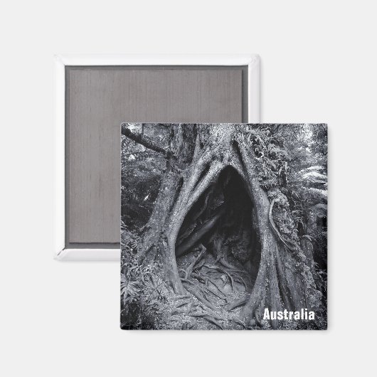 Giant Tree, Tree Hugger, Australië (Fridge Magnet) Magneet (Voorkant / Achterkant)