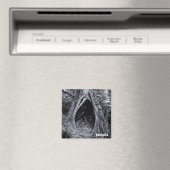 Giant Tree, Tree Hugger, Australië (Fridge Magnet) Magneet (Insitu (Vaatwasser))