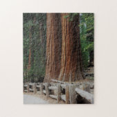 Giant Trees in Sequoia/Kings Canyon National Park Legpuzzel (Verticaal)