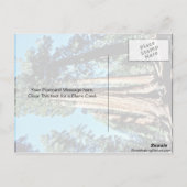 Giant Trees - Nationaal bos Sequoia Briefkaart (Achterkant)