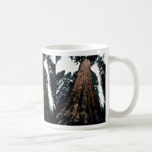 Giant Trees - Nationaal Park Sequoia Koffiemok