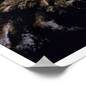 Giant Trees - Nationaal Park Sequoia Poster (Hoek)