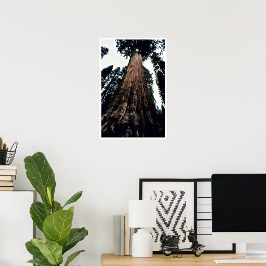 Giant Trees - Nationaal Park Sequoia Poster (Thuiskantoor)